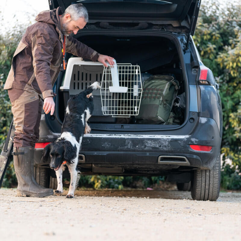 Safely transporting your hunting dog