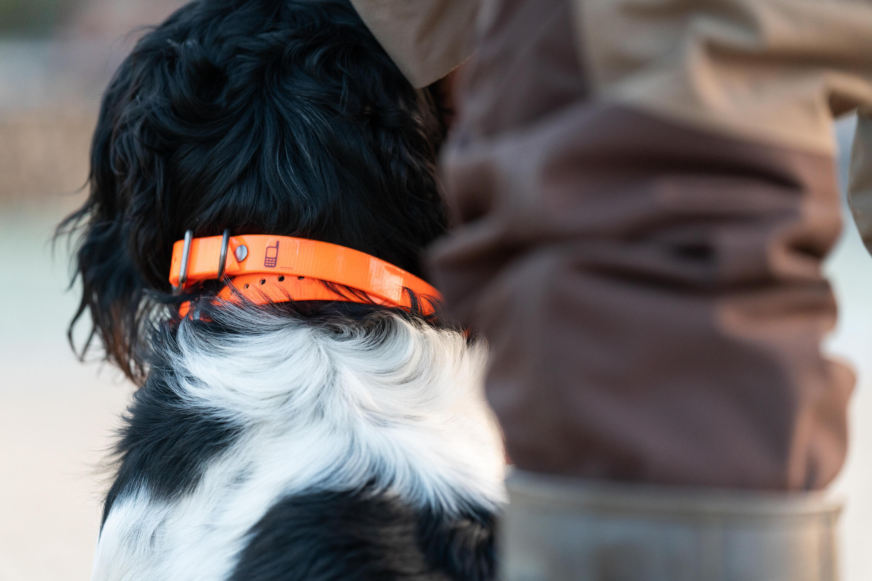 Hundehalsband 500 neonorange 10/10