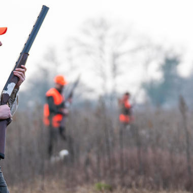 Des idées cadeaux pour les chasseurs de gibier en plaine