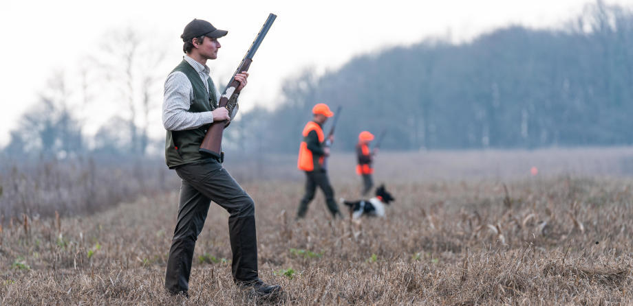 ouverture de la chasse au petit gibier ouverture de la chasse au petit gibier