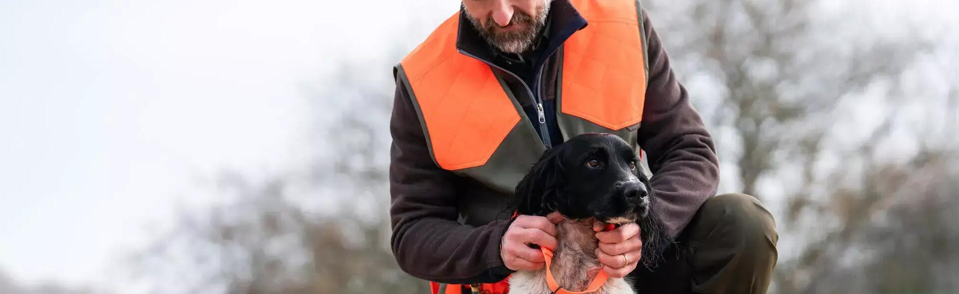 Are dogs the prime ambassadors for hunting?