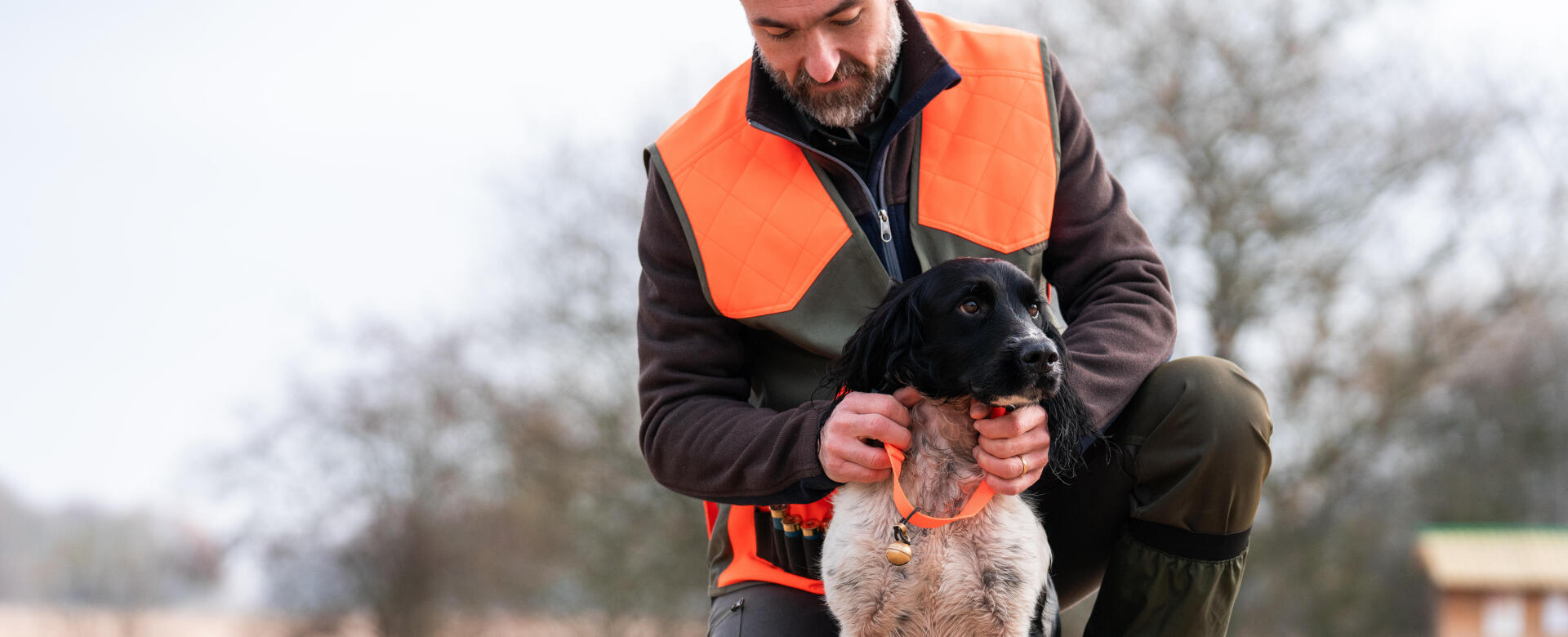 Are dogs the prime ambassadors for hunting?
