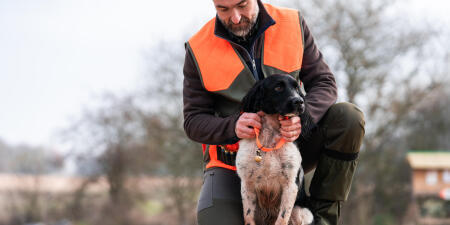 Chien de chasse