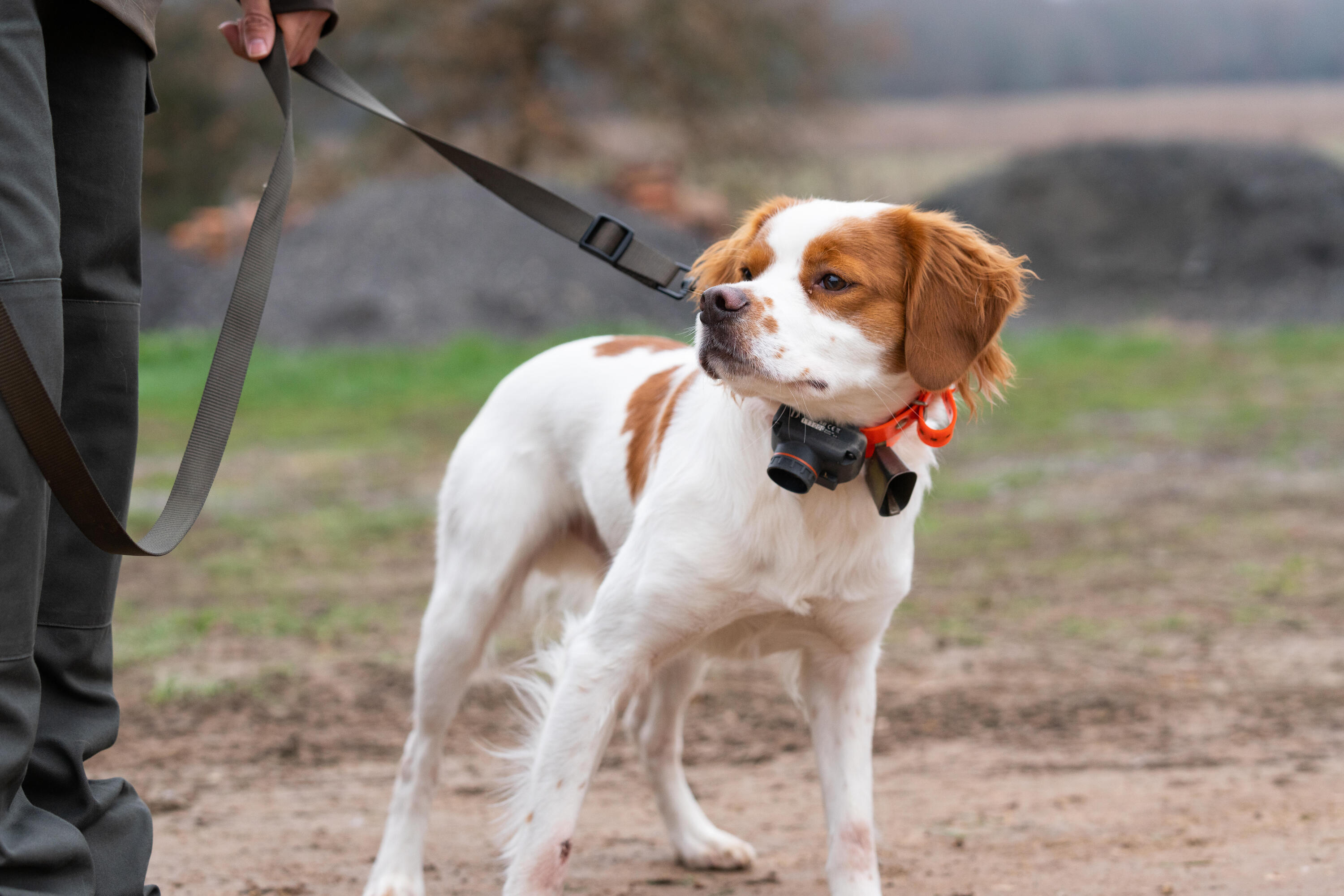 COLEIRA + TELECOMANDO DE ADESTRAMENTO E LOCALIZAÇÃO PARA CÃO DOGTRA 2600 T&B 4/5
