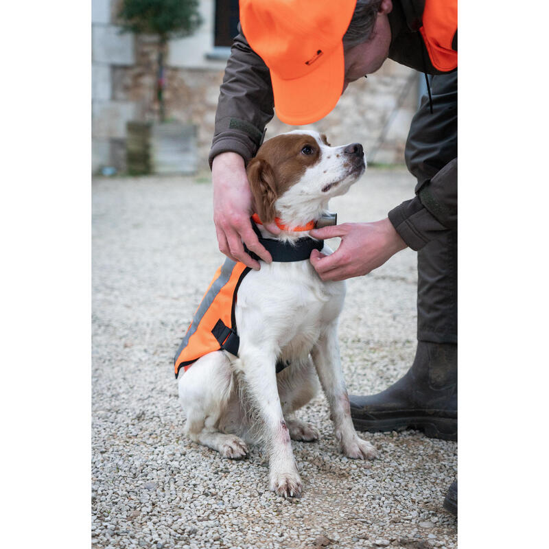 gilet de chasse pour chien decathlon