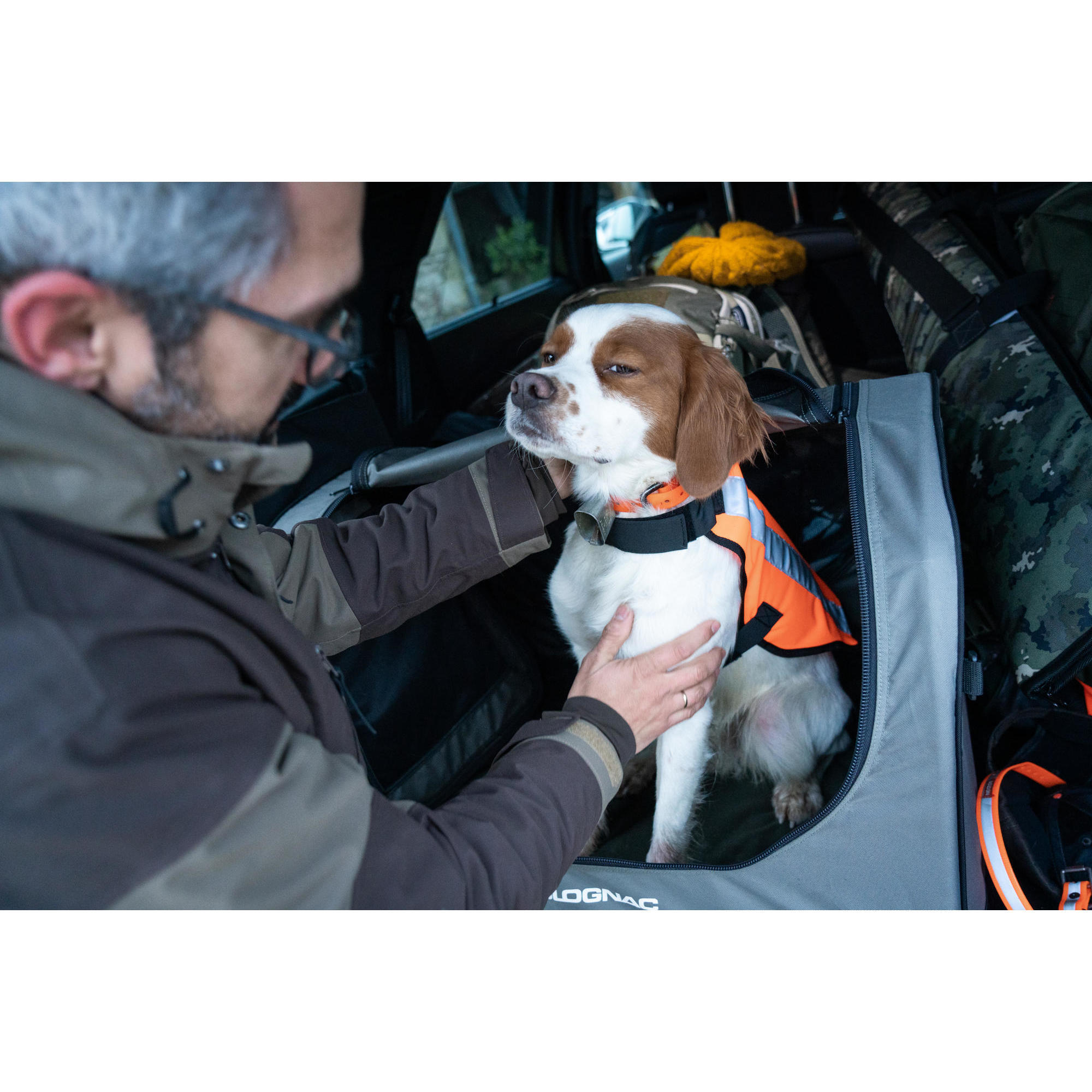 Gilet fluo chien decathlon new arrivals