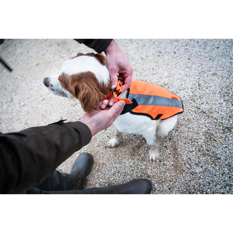 GILET CHIEN CHASSE JAUNE 100