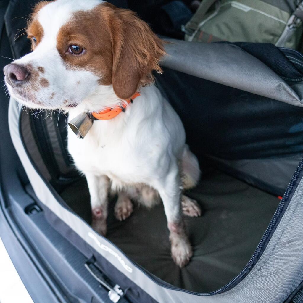 Caisse de transport pliable pour 1 chien