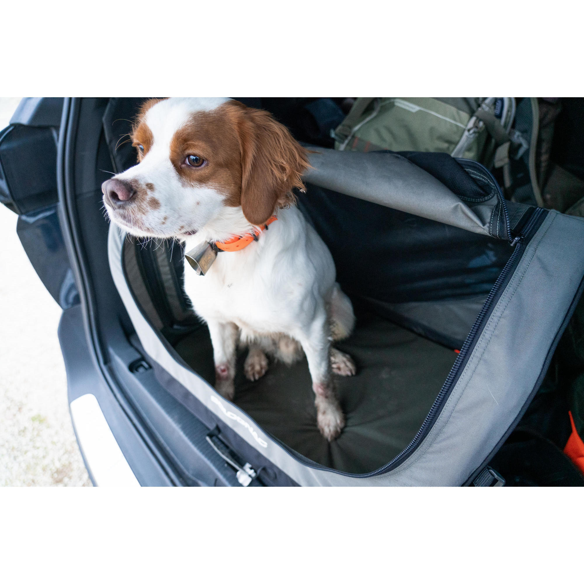 Foldable transport crate for 1 dog