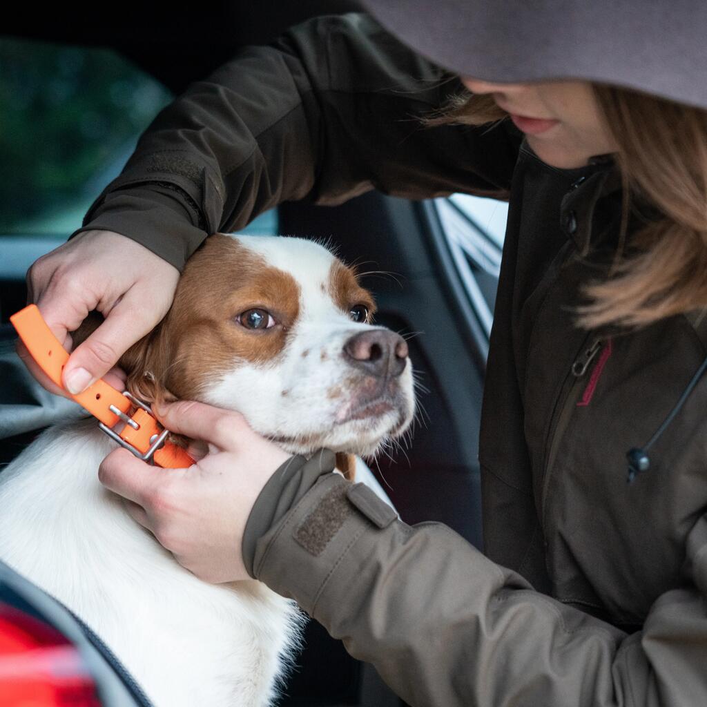 Dog collar Neon Orange 500