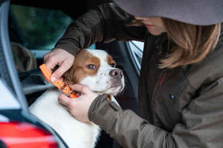 Dog collar Neon Orange 500