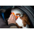 SPORTTILLBEHÖR FÖR HUNDAR Jakt - Hundhalsband orange900 SOLOGNAC - Hundsport