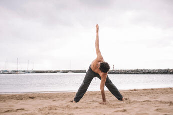sivananda yoga ap sivananda yoga ap