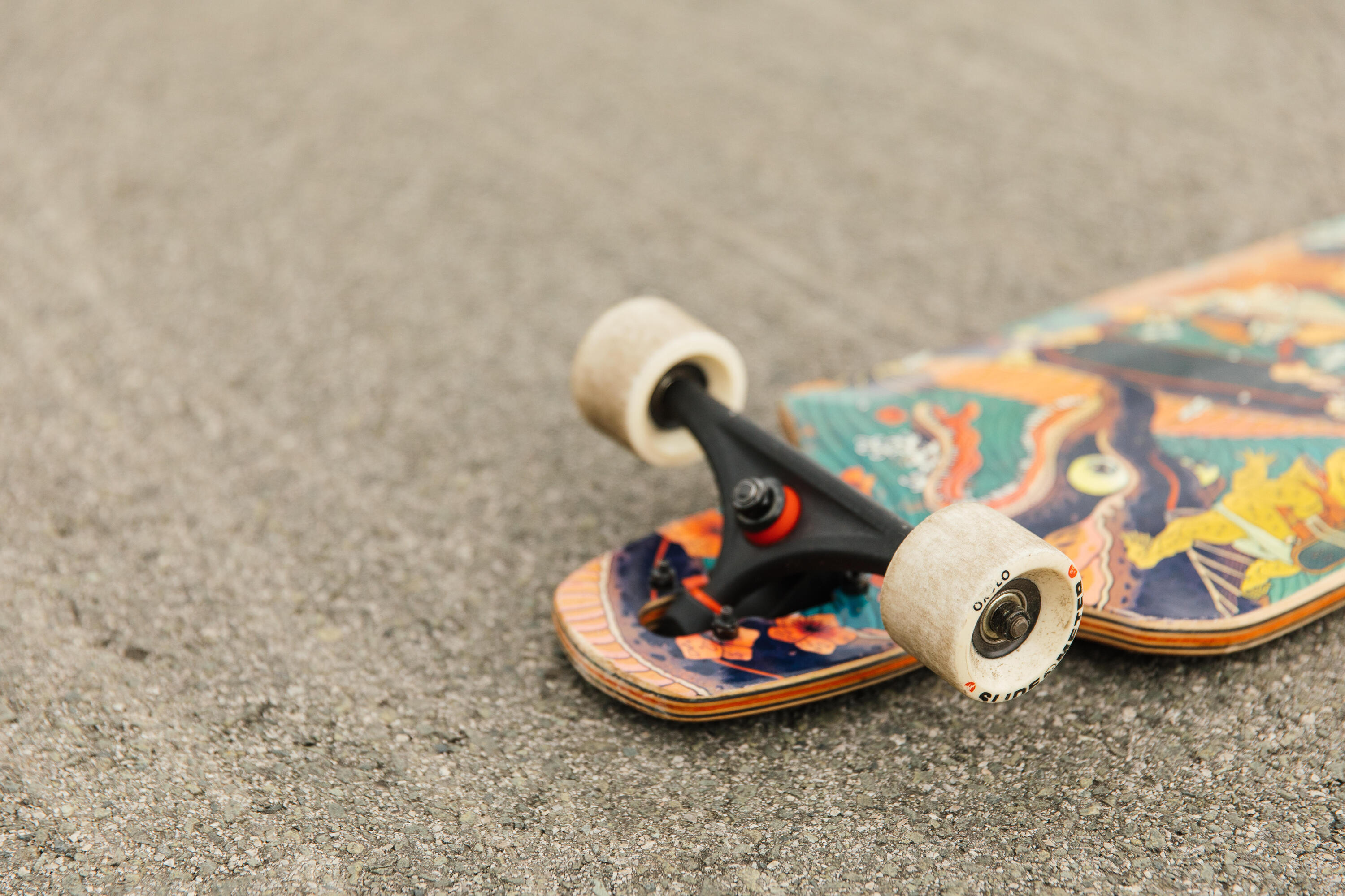 LONGBOARD FREE520 JAPAN 20/22