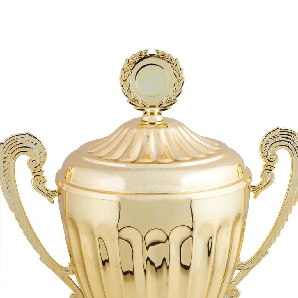 Trofeja “C920”, 40 cm, zelta