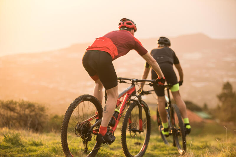 Rower górski (MTB) - jaki rower MTB wybrać?