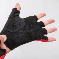 Road Cycling Gloves 500 - Red