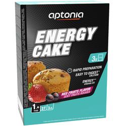 Gâteau énergétique fruits rouges 3x100g