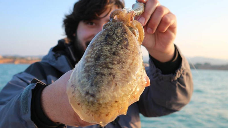 Comment choisir son équipement pour pêcher la seiche ?