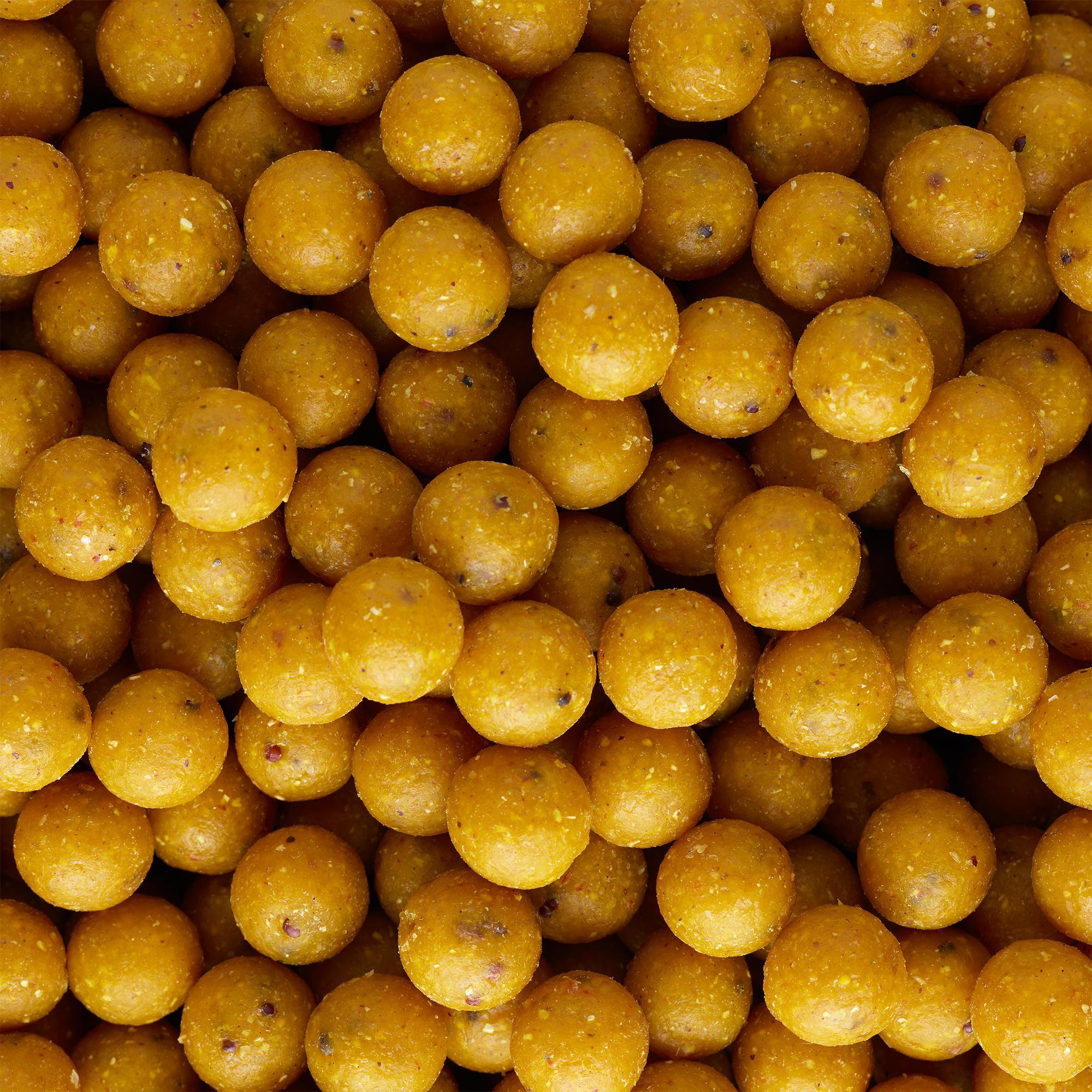 boilies decathlon