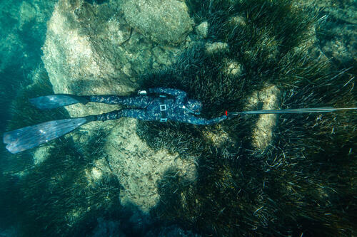 Comment bien se lester en chasse sous-marine ?