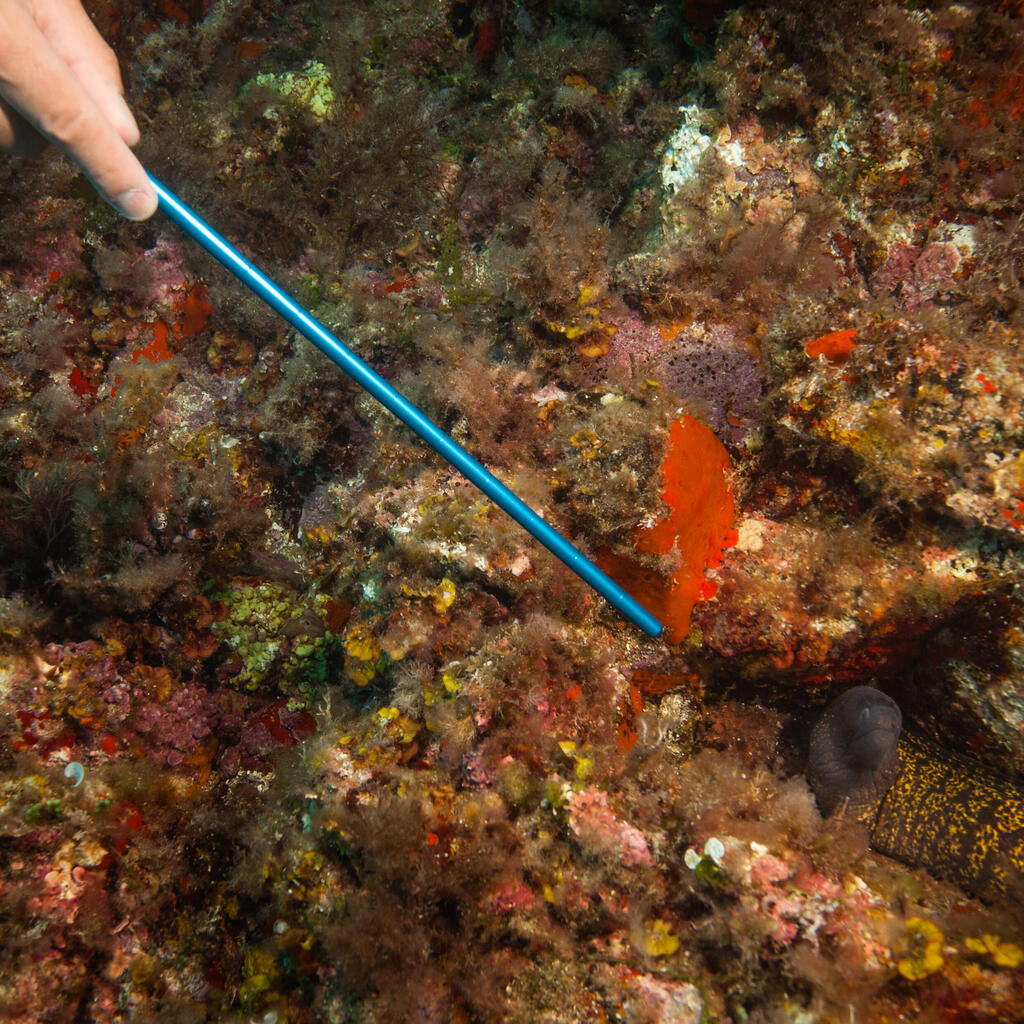 Μέσα υπόδειξης από ανοξείδωτο χάλυβα για scuba diving, λουρί και carabiner