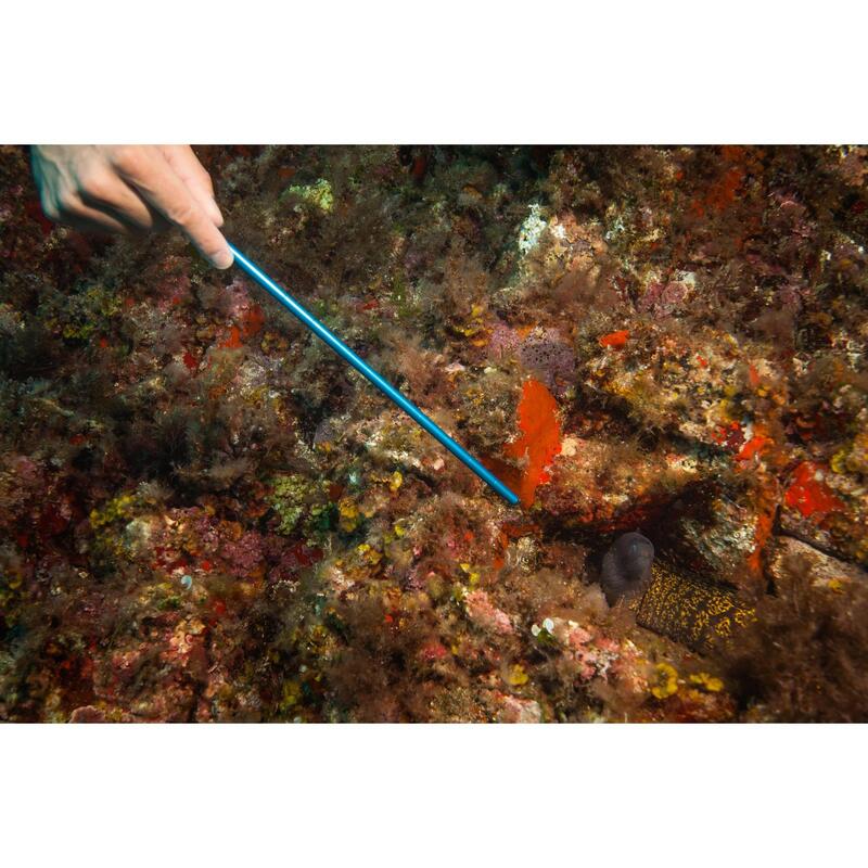 Pointeur inox de plongée sous-marine à anneau, dragonne et mousqueton