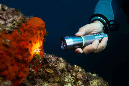 Senter/lampu selam bawah air lumen SCD 100, 3000 lux, kedap air hingga 100 m