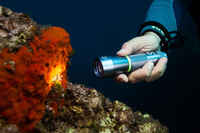 SCD 100 lumen spot diving torch/lamp, 3000 lux, watertight to 100m