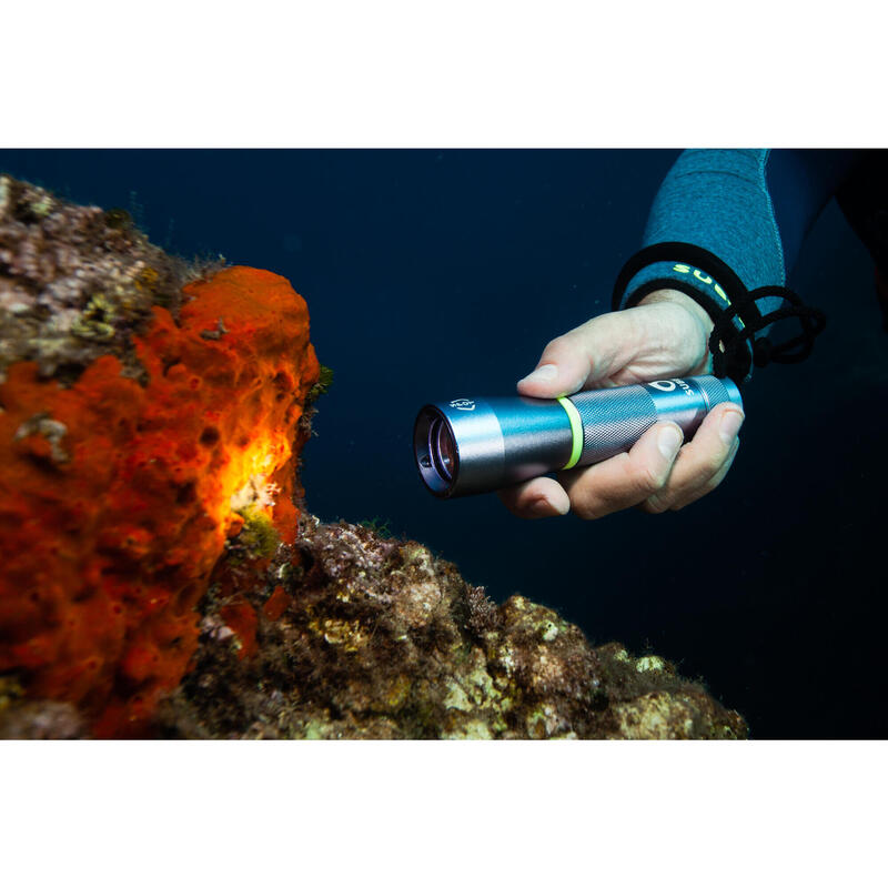 Alvinlite Lampe sous-Marine d'éclairage sous-Marin, LED Lampe de Poche de  plongée sous-Marine pour la spéléologie de Nuit Explorez la pêche :  : Sports et Loisirs