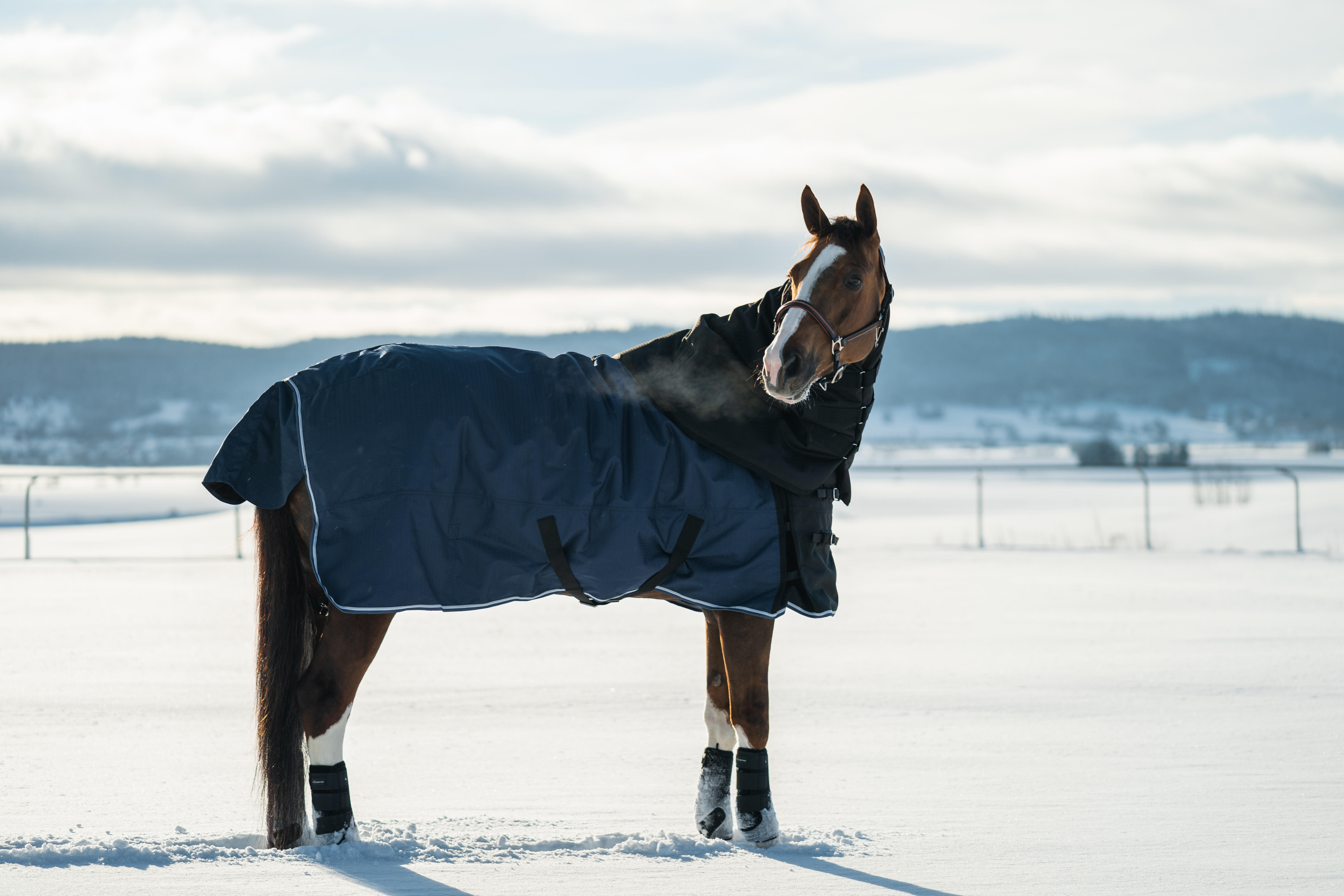 Waterproof Horse and Pony Blankets - Allweather 300 Blue - FOUGANZA