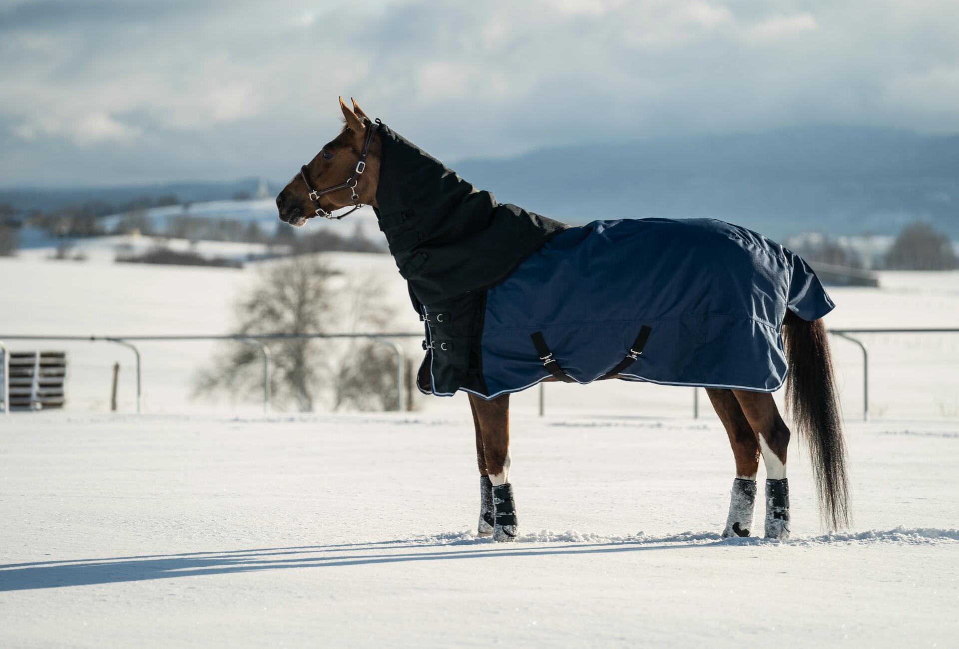Pferd mit Regendecke im Schnee