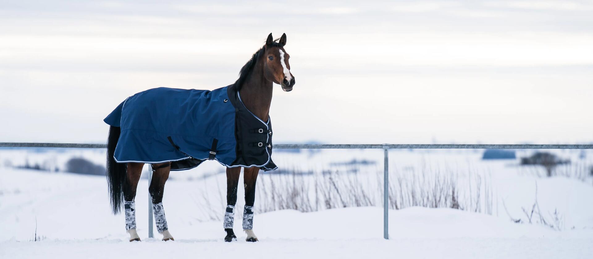 Pferd mit Pferdedecke steht im Schnee