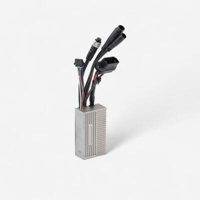 Controller 24V für E-Bike Elops 500E