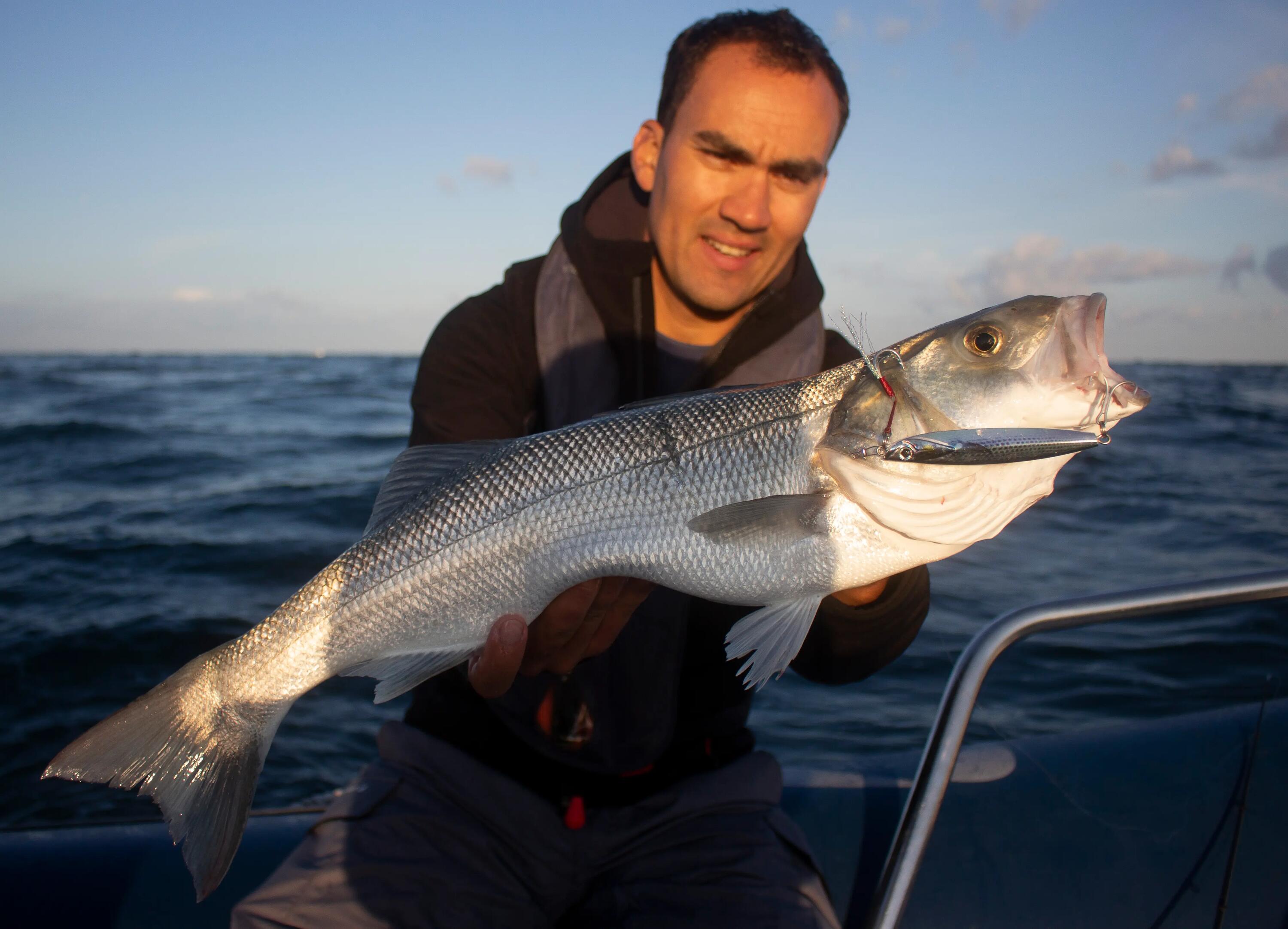 Come iniziare a pesca la spigola con le esche artificiali?