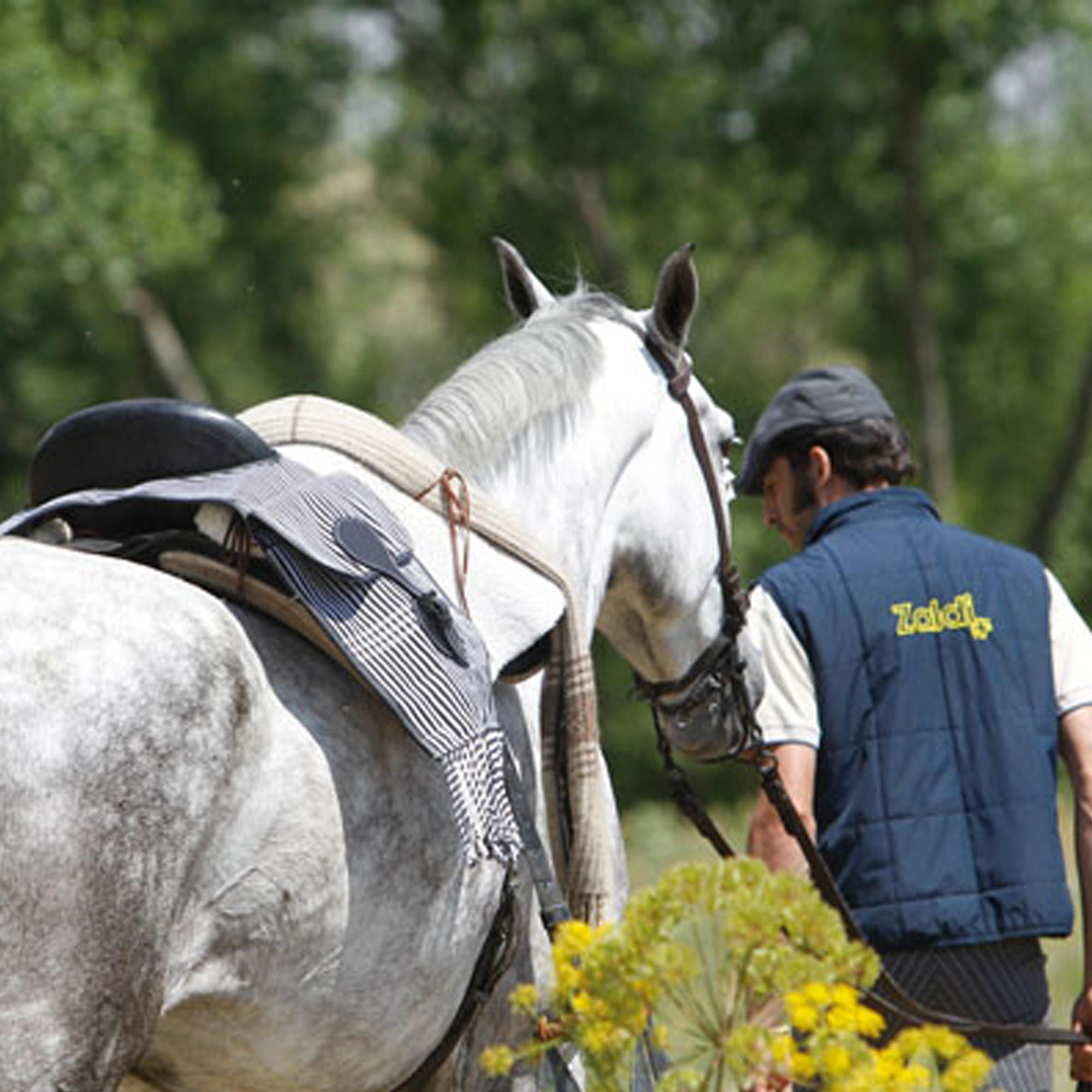 Alforja Equitación e Hípica Zaldi Castecus Caballo Blanco Marrón Transporte 2/2