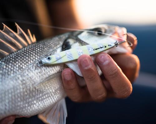 Casting jig Biastos