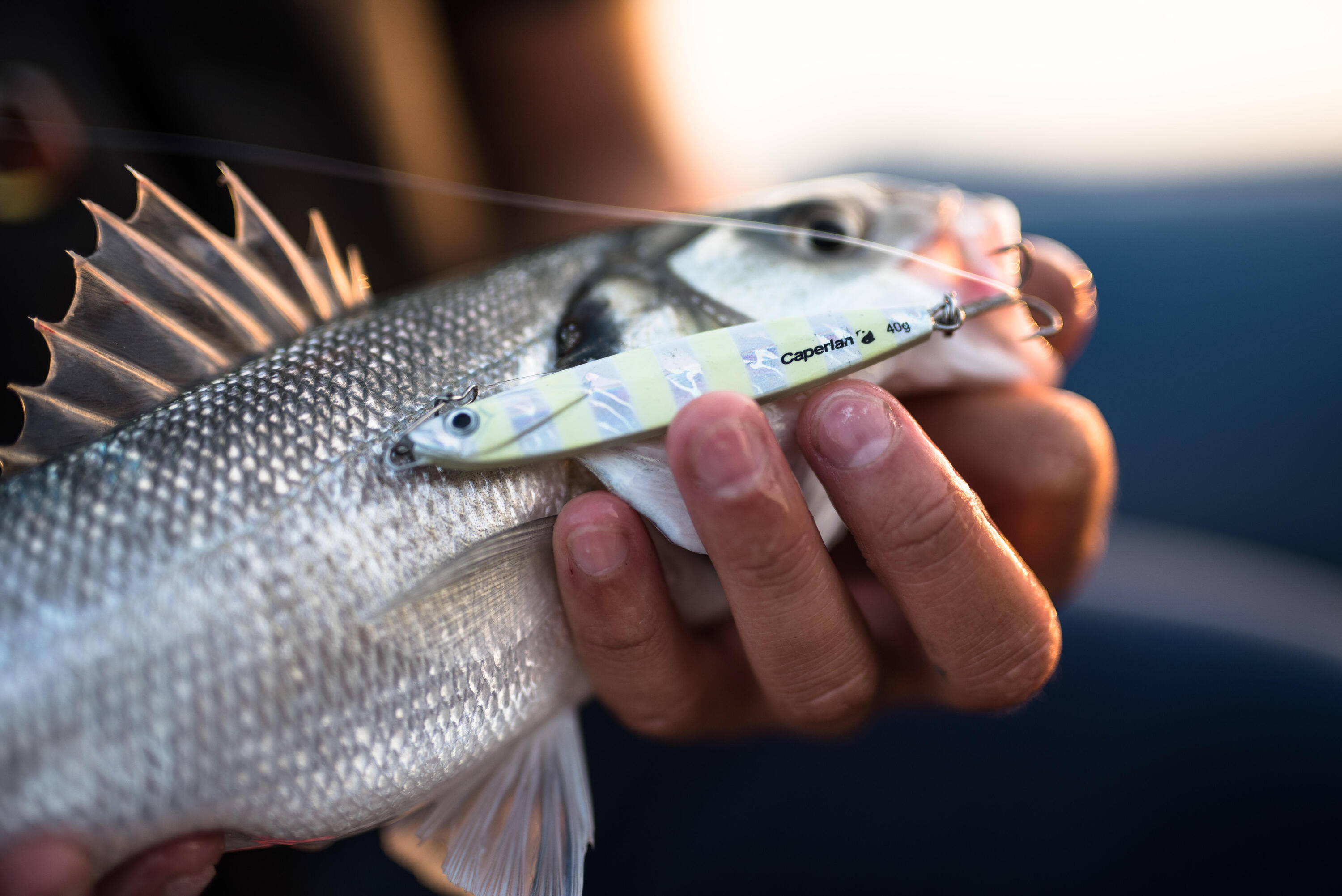 Casting jig biastos 20gr bleu pêche au leurre en mer 7/7
