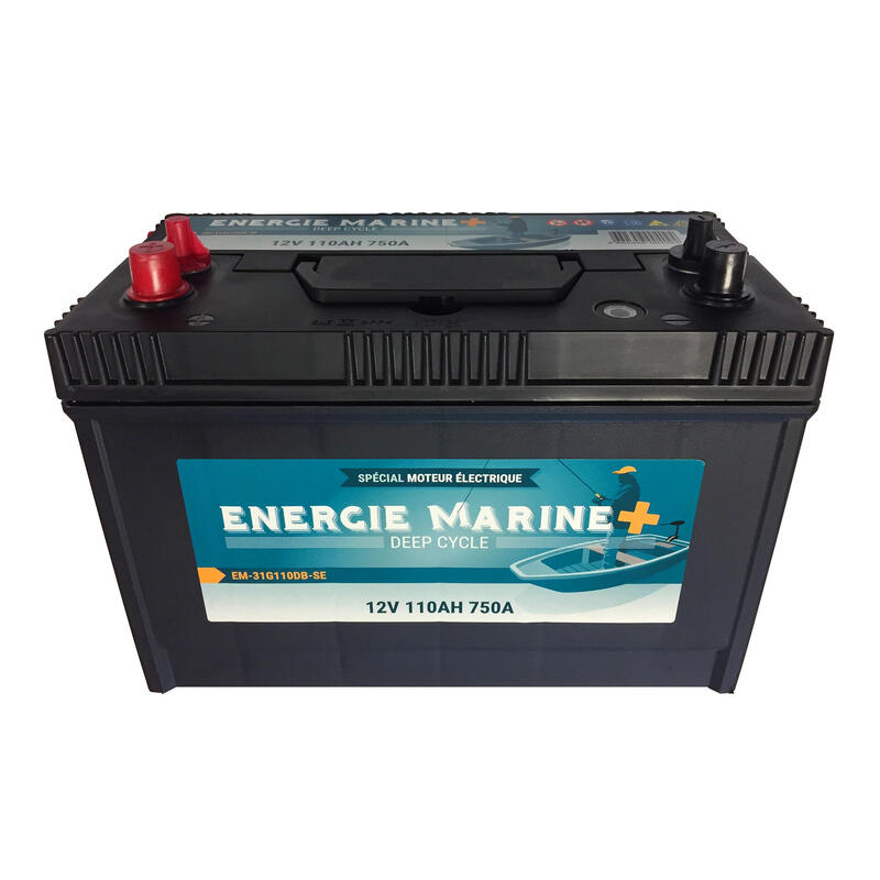 Pack batterie Lithium 36 V 100 AH + Chargeur - Batterie Lithium Life P04 -  Navicom - Toute l'électronique marine