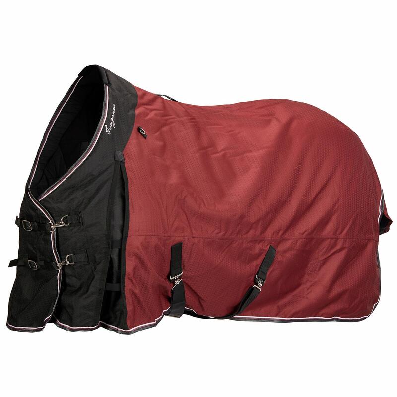 Uitrusting paard