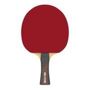 TTR 930 All 6* Club Table Tennis Bat