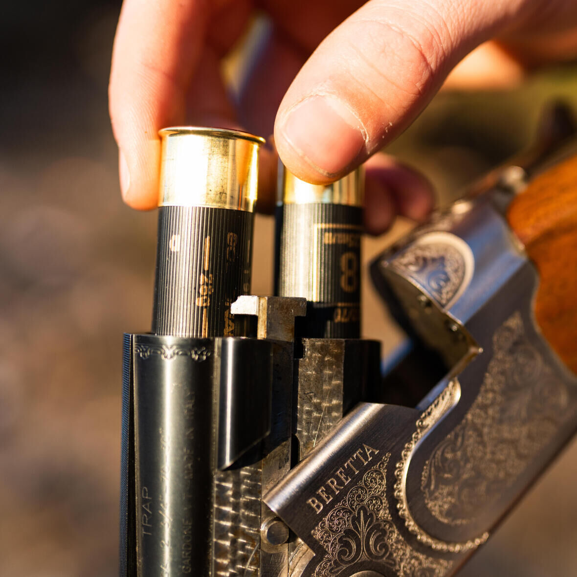 Cartridges for the Compak Sporting T900 Solognac