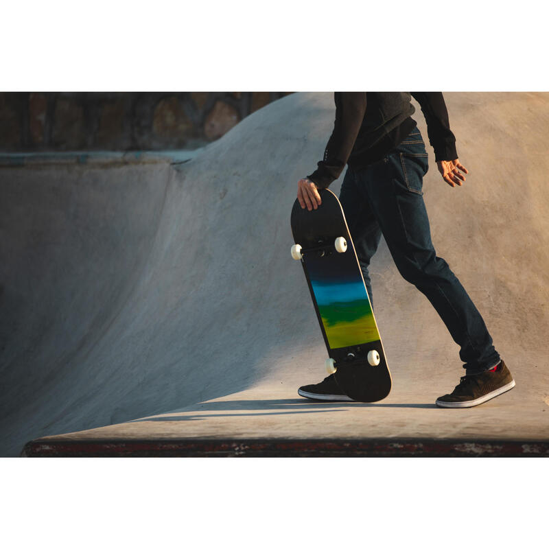 SKATEBOARD COMPLETE 100 GRADIANT PARROT