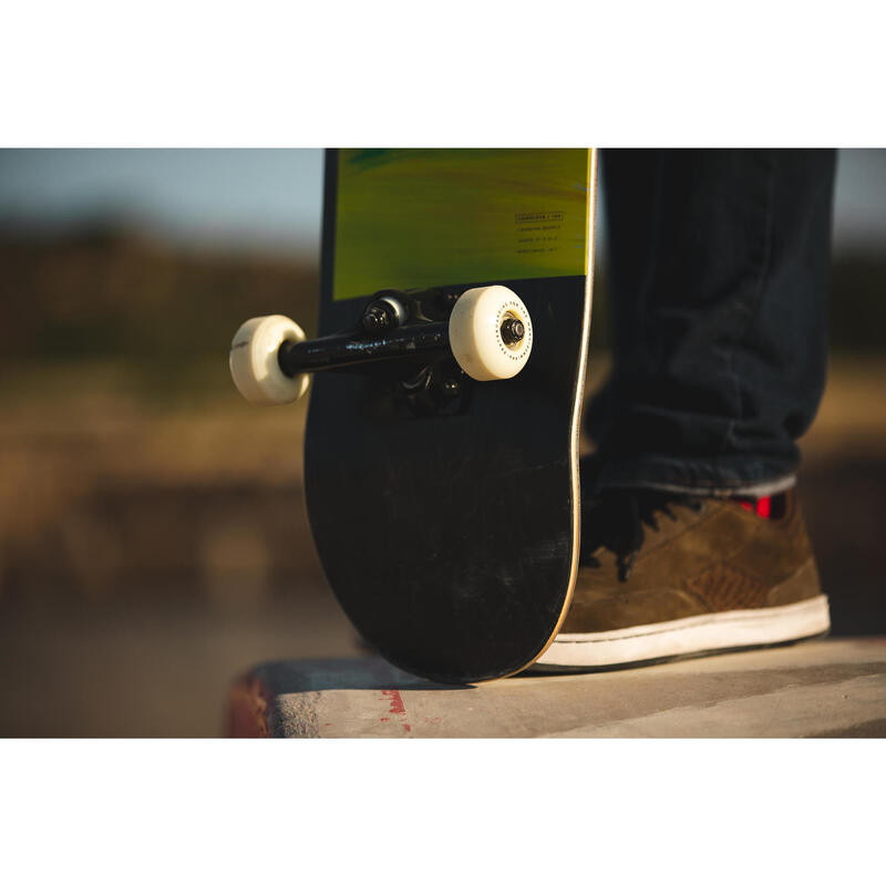 SKATEBOARD COMPLETE 100 GRADIANT PARROT OXELO