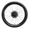 MTB