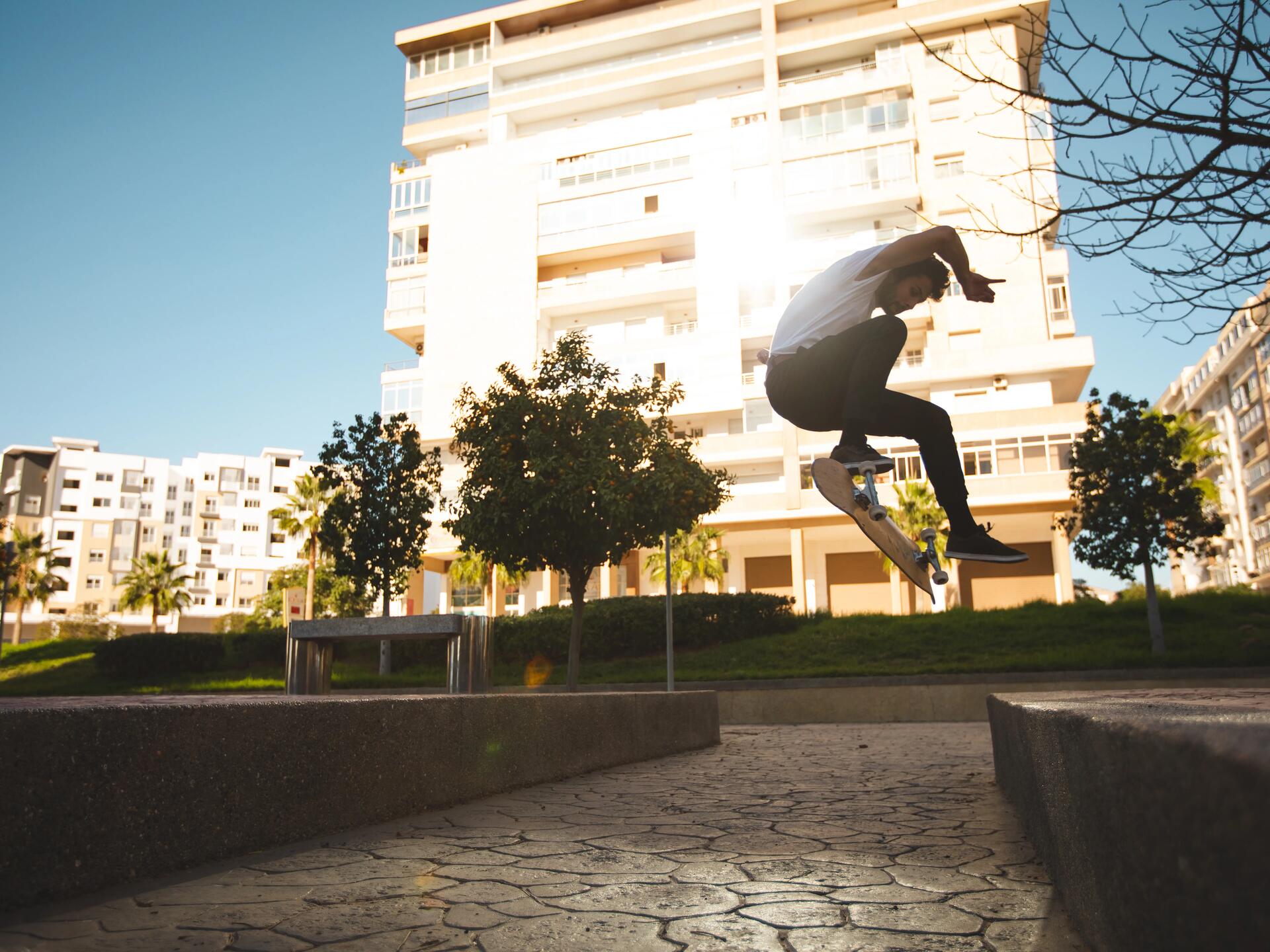 decks e pranchas apenas skate