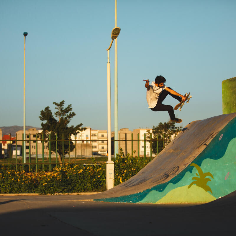 Skateboarden: de belangrijkste disciplines