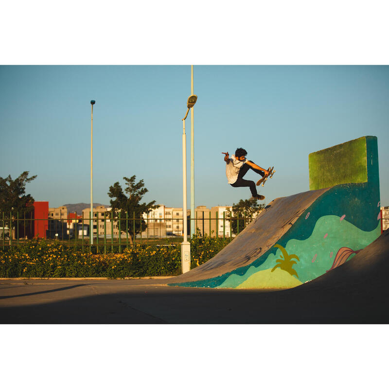 Skateboard : les principales disciplines sportives