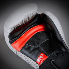 BOXE BOXE