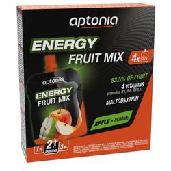 Spécialité de fruits énergétique pomme 4 x 90g